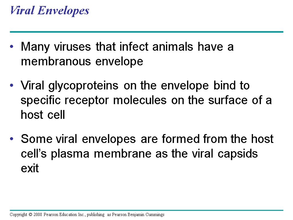 Viral Envelopes Many viruses that infect animals have a membranous envelope Viral glycoproteins on